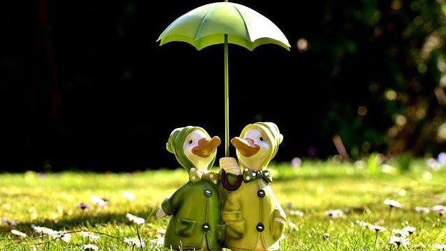 Two small duck figurines in raincoats standing under a green umbrella on grass with daisies, sunny outdoor setting